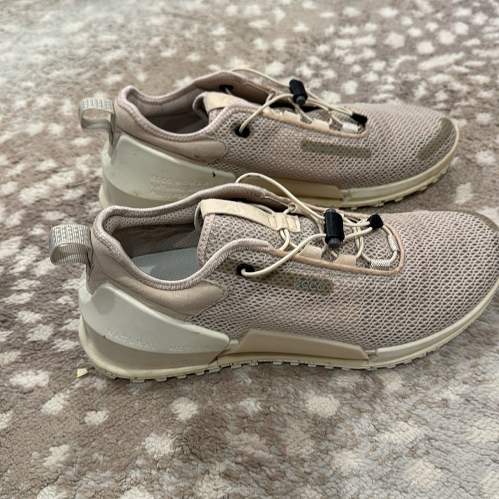 Ecco 2.0 size 9.0 to 9.5